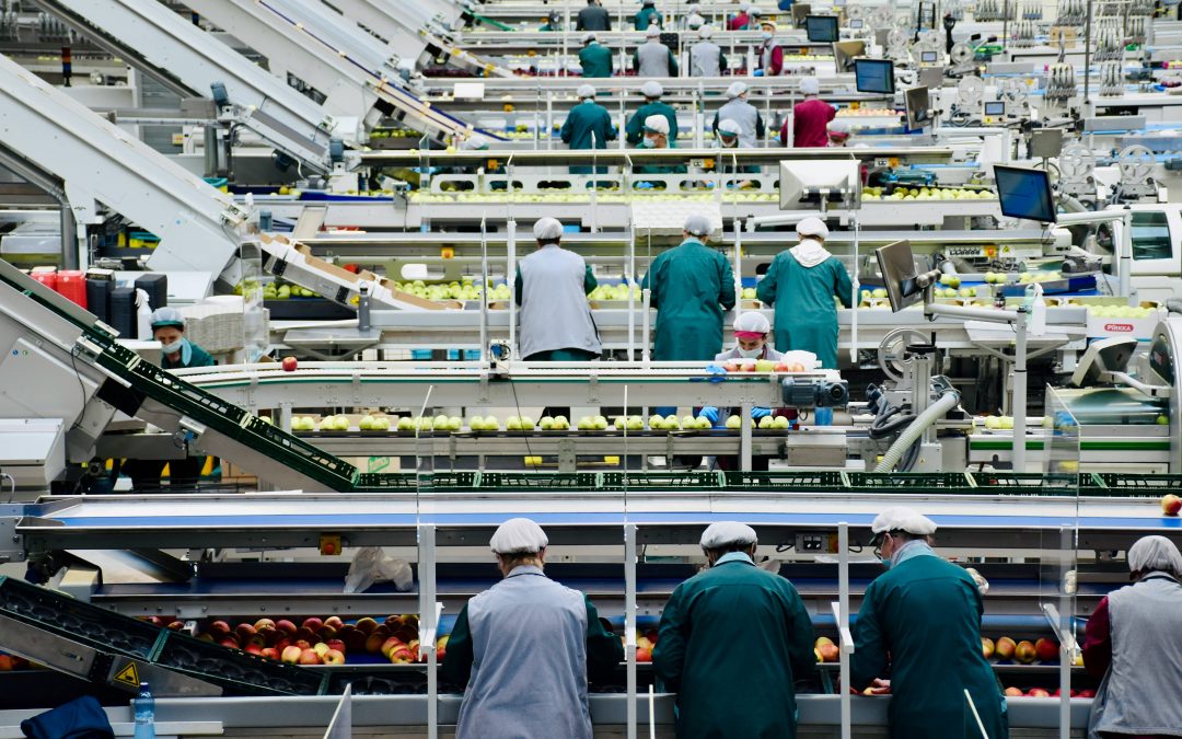 Kehadiran Sistem HACCP Menjamin Keamanan Pangan dari Proses Hulu ke Hilir