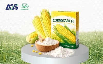 SNI Pati Jagung : Strategi Mutu Produk Terjamin